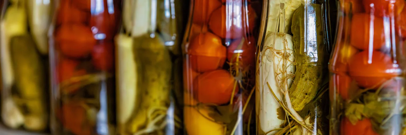 A row of glass fermentation jars on a wooden shelf, packed with pickled vegetables in brine.