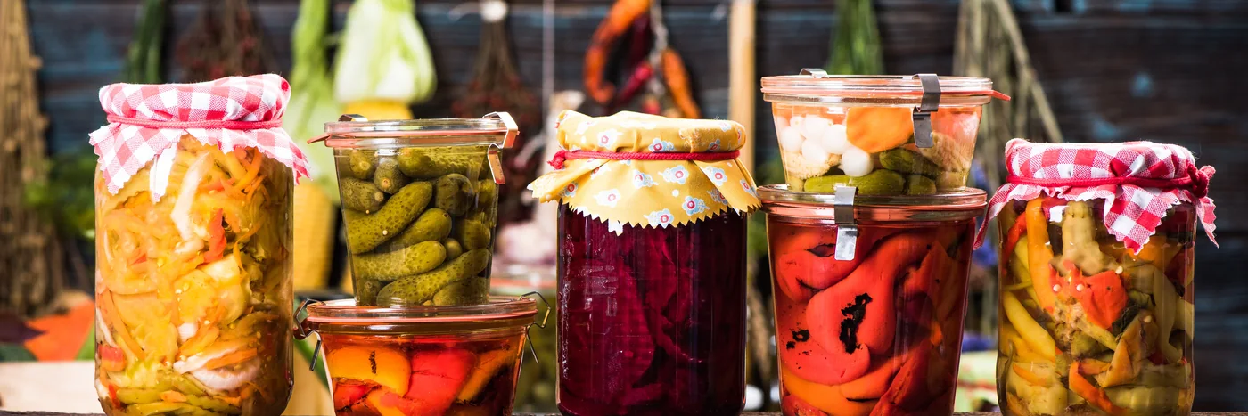 An assortment of home-fermented foods in cloth-topped jars: sauerkraut, kimchi, pickles, beets and peppers.